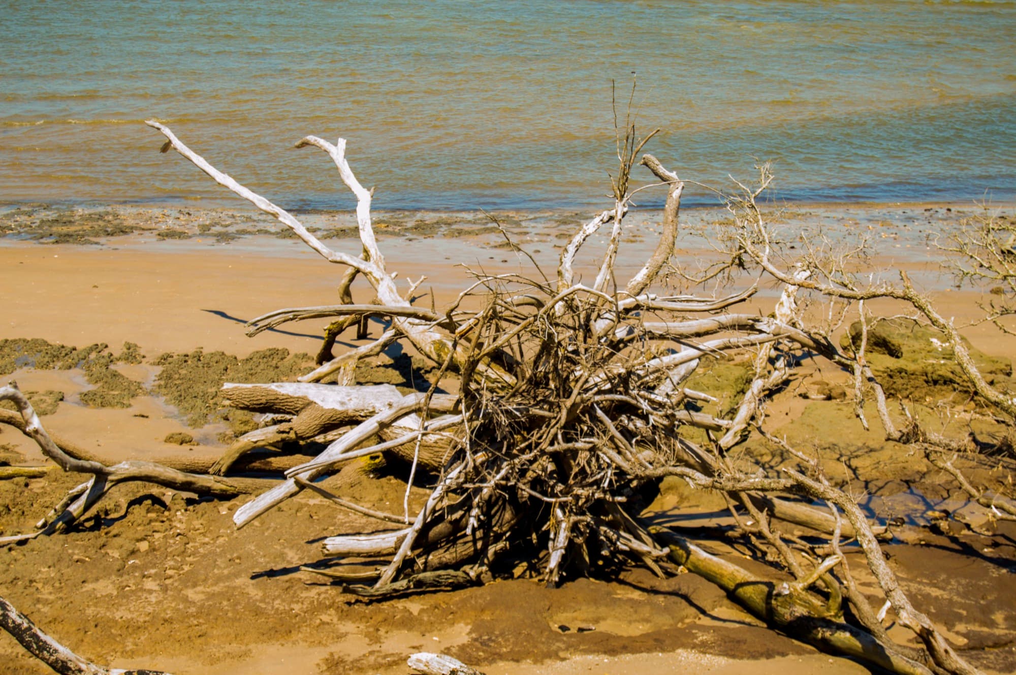 Boneyard Beach I